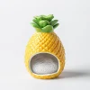 Boston Warehouse Scrubby 'Pineapple' Ceramic Scrubby Holder