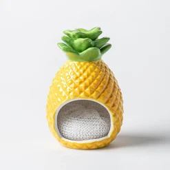 Boston Warehouse Scrubby 'Pineapple' Ceramic Scrubby Holder