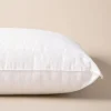 Century Home Need More Sleep Jumbo Poly Cotton Pillow