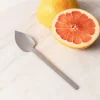 Danesco Serrated Grapefruit Spoon Each (Stainless Steel)