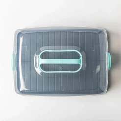 Ezy Storage Portable 'Rectangle' Plastic Cake Carrier with Lid (Clear)