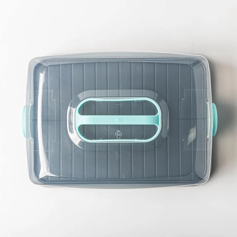 Ezy Storage Portable 'Rectangle' Plastic Cake Carrier with Lid (Clear)