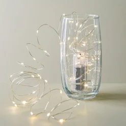 Fifth Season L.E.D. '40-Light' String Light (Warm White)