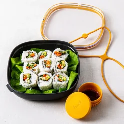 Fuel Leak-Proof Lunch Plate Container with Lid (Black/Clear)