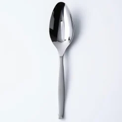 Gourmet Settings Lance Slotted Serving Spoon (Stainless Steel)