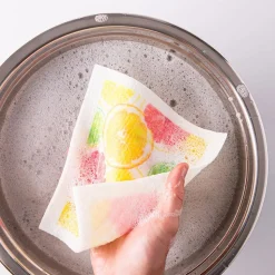 Harman 'Citrus' Reusable Sponge Cloth - Set of 10