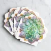 Harman 3-Ply 'Succulent' Paper Napkin (Green)