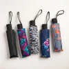 Home Essential Rain-Guard Auto-Folding Umbrella (Black)