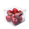 iDesign Linus 'Cube' Fridge 'N Pantry Binz 8x8x6"