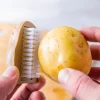 Joie Mr. Potato Scrub Brush