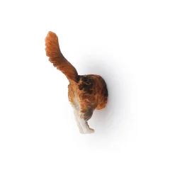 Kikkerland Funky 'Cat Butt' Magnet - Set of 6