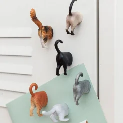 Kikkerland Funky 'Cat Butt' Magnet - Set of 6