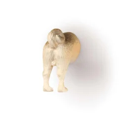 Kikkerland Funky 'Dog Butt' Magnet - Set of 6