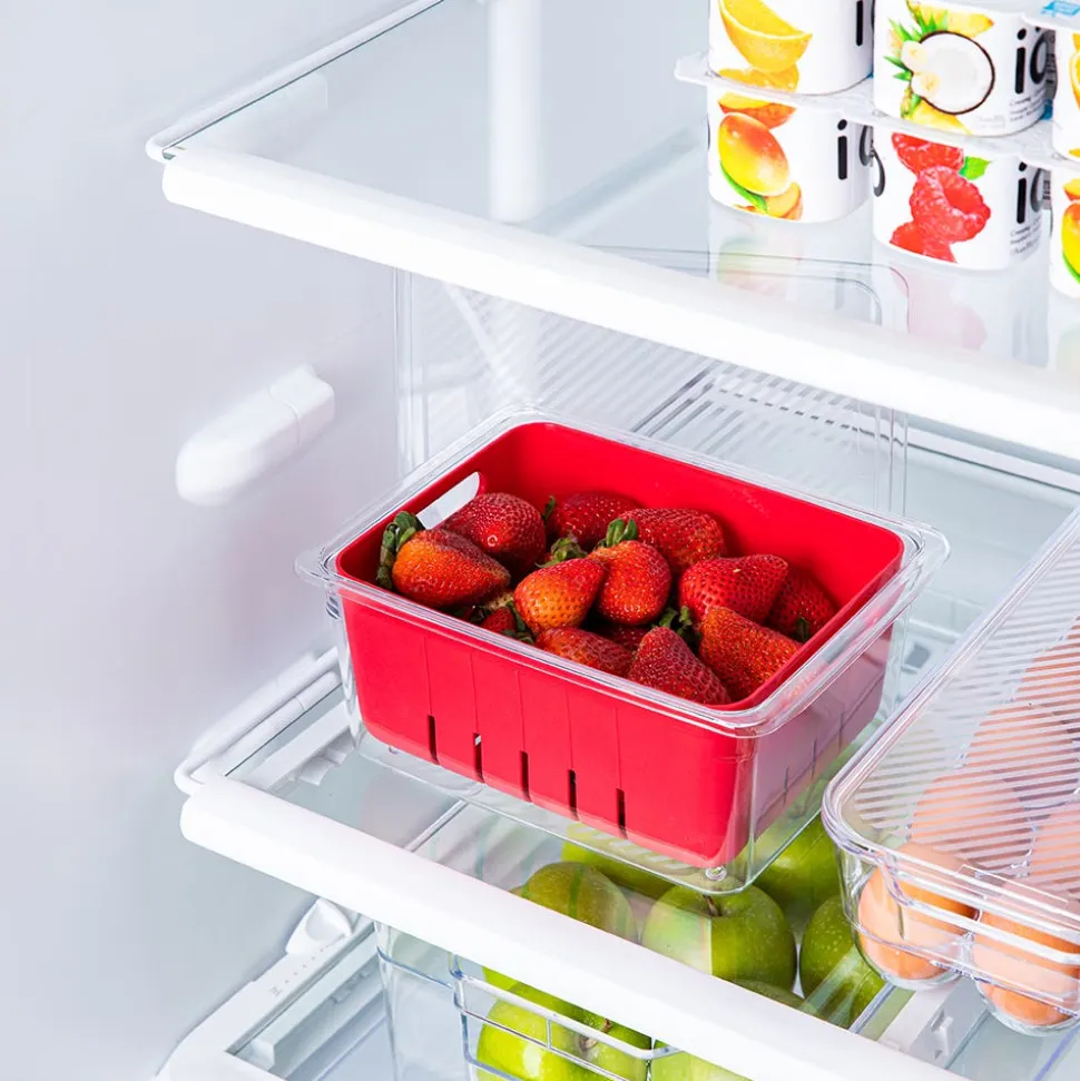 KSP Fridgestor Berry Keeper Basket (Red) 6.7x8.7x4"