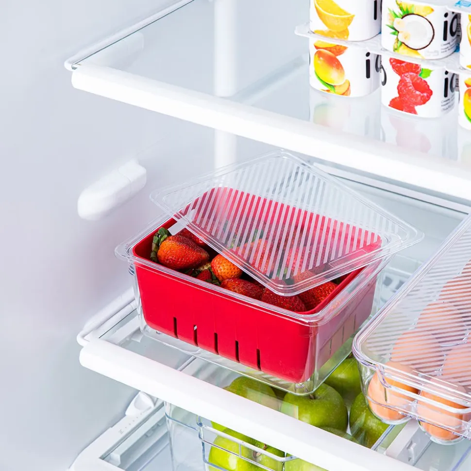KSP Fridgestor Berry Keeper Basket (Red) 6.7x8.7x4"