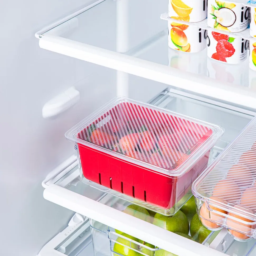 KSP Fridgestor Berry Keeper Basket (Red) 6.7x8.7x4"