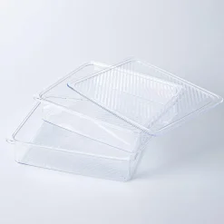 KSP Fridgestor 'Shallow' Fridge Bin with Lid - Set of 2 (8.7x6.7x2")