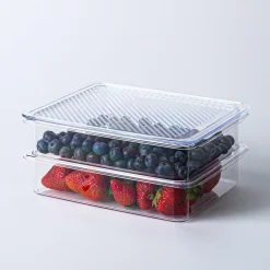 KSP Fridgestor 'Shallow' Fridge Bin with Lid - Set of 2 (8.7x6.7x2