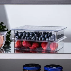 KSP Fridgestor 'Shallow' Fridge Bin with Lid - Set of 2 (8.7x6.7x2
