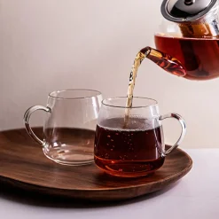 KSP Monza Borosilicate Glass Mug - Set of 2 (Clear) 480ml