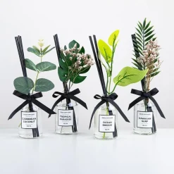KSP Soleil 'Carribean Coconut' Reed Diffuser (Clear)