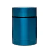 KSP Togo Thermal Food Storage Jar 430ml (Metallic Blue)