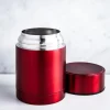 KSP Togo Thermal Food Storage Jar 430ml (Metallic Red)
