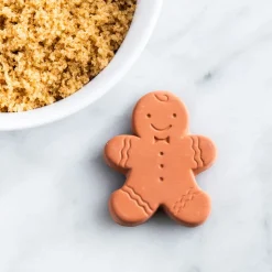 Now Designs Stay-Soft 'Gingerbread' Brown Sugar Saver (Terracotta)
