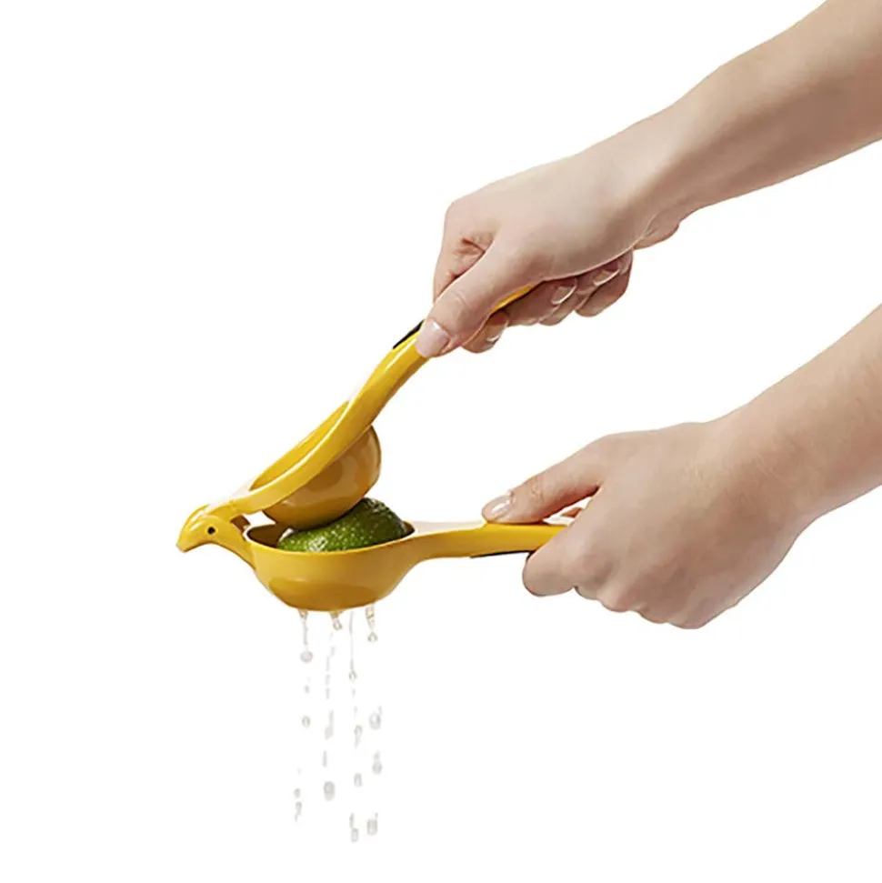 OXO Good Grips Citrus Juicer
