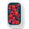 OXO Good Grips Prep & Go Food Storage Container with Lid (Clear/Green)
