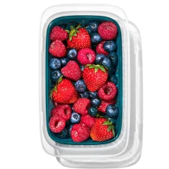 OXO Good Grips Prep & Go Food Storage Container with Lid (Clear/Green)