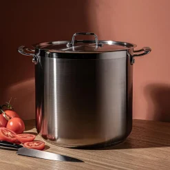 Tramontina Gourmet Stainless Steel Stock Pot with Lid 18.9L